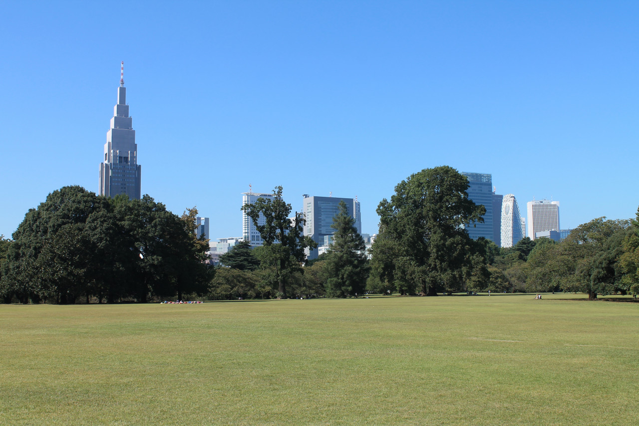 tokyo jardin shinjuku gyoen