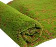 Pelouse Jardin Best Of 1m 1m Paille Mat Vert Artificielle Pelouse Tapis Faux Gazon Jardin Moss Planchers Diy Mariage Herbe Décoration