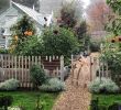 Pelouse Jardin Best Of L Image Contient Peut ªtre Plante Arbre Fleur Plein Air