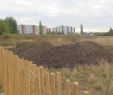 Pelouse Jardin Charmant Ach¨res Premiers Coups De Pioche Pour La Ferme Urbaine