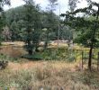 Pelouse Jardin Génial Taitua Arboretum Hamilton 2020 Ce Qu Il Faut Savoir Pour