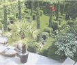 Pelouse Jardin Luxe Chaux Gazon Leroy Merlin – Gamboahinestrosa
