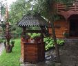 Pergola Bois Beau Pensiunea Ileana Cottage Reviews Ieud Romania Tripadvisor