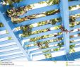 Pergola Bois Génial Blue Painted Wooden Pergola Lattice with Vines and Grapes