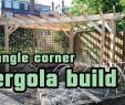 Pergola Bois Génial Pergola Build Triangle Corner Pergola Built with Pressure Treated softwood Timber