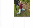 Pergola Bois Génial Stars Of Italy southern Rh´ne 10 top Terroirs and the