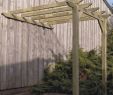Pergola Brico Depot Arrivage 2020 Best Of Details About 3 1m X 4m Lean to Pergola Kit New