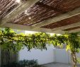 Pergola Brico Depot Arrivage 2020 Génial Bamboo Ceilings and Shading In 2020