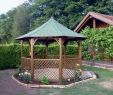 Pergola Brico Frais Meilleur De Cabane De Jardin 20m2 Luckytroll