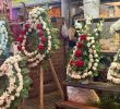 Pergolas De Jardin Charmant Pergola De Las Flores Santa Maria Santiago 2020 All You