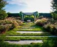 Pergolas De Jardin Élégant Landscape Architecture Landscape Architecture Ku