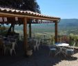 Pergolas De Jardin Unique the 10 Best Lunch Restaurants In Rennes Le Chateau Tripadvisor