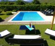 Petit Jardin Avec Piscine Beau Villa Contemporaine Avec Piscine Et Jardin Prive Oletta