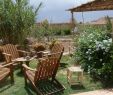 Petit Jardin Avec Piscine Nouveau Tigminou Guest House In Ouarzazate
