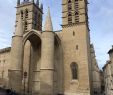 Petit Jardin Montpellier Charmant Cathedrale St Pierre Montpellier Tripadvisor