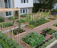 Petite Table De Jardin Élégant Fabulous Backyard Ve Able Garden Design Ideas 36