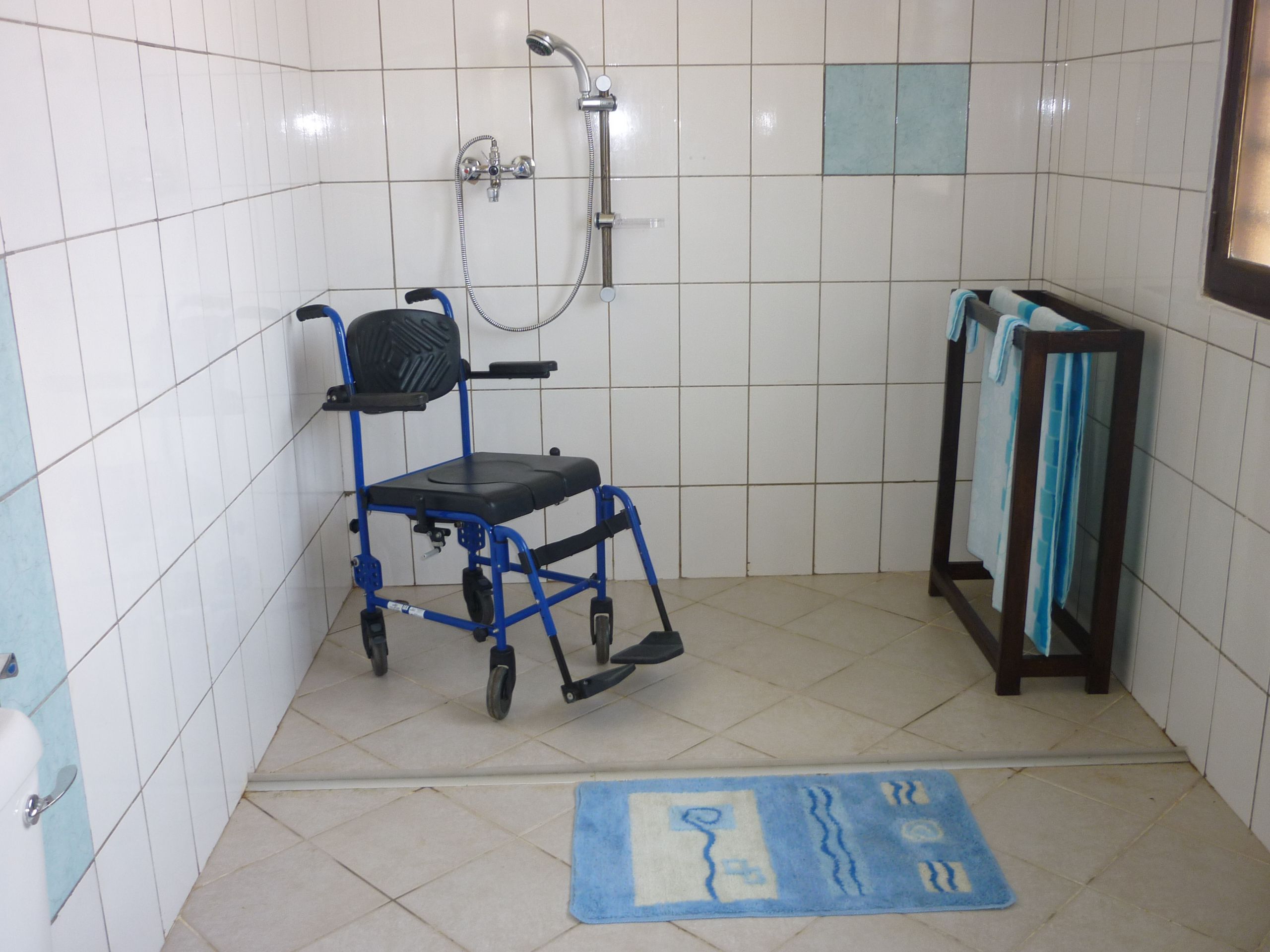Plan Aménagement Jardin Best Of 30 Luxe Chaise De Bain Pour Handicapé Inspirations