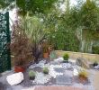 Plan De Jardin Paysager Élégant astuces D Entretien Jardin Et Am Nagement Paysager