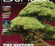 Plan Salon De Jardin En Palette Pdf Inspirant Esprit Bonsai International October November 2017 Pdf