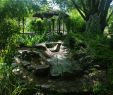 Portique De Jardin Beau Charmes Méconnus Du Hurepoix Le Jardin Chinois Yi Li  