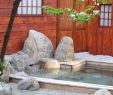 Portique De Jardin Beau épinglé Sur Créateur Jardins Inspiration Japonaise