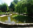 Portique De Jardin Luxe Charmes Méconnus Du Hurepoix Le Jardin Chinois Yi Li  