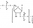 Pose Abri De Jardin Génial Ep B1 Coupling Pounds Process for their