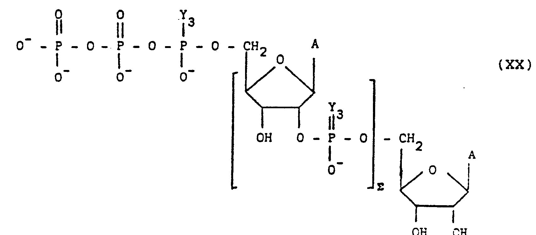 Pose Abri De Jardin Génial Ep B1 Coupling Pounds Process for their