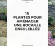 Poser Des Bordures De Jardin Best Of 15 Plantes Pour Aménager Une Rocaille Ensoleillée