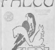 Poser Des Bordures De Jardin Charmant Calaméo Falco 7 1972