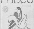Poser Des Bordures De Jardin Charmant Calaméo Falco 7 1972
