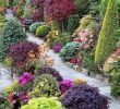 Poser Des Bordures De Jardin Génial 25 Stunning Garden Paths