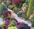Poser Des Bordures De Jardin Génial 25 Stunning Garden Paths