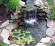 Prêter son Jardin Inspirant 999 Best Water Features Images In 2020