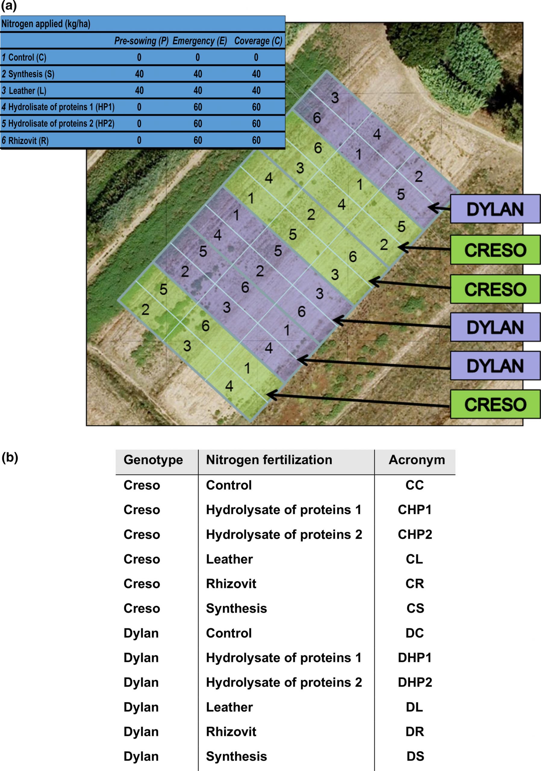 Prêter son Jardin Luxe Effects Of Different Nitrogen Fertilizers On Two Wheat