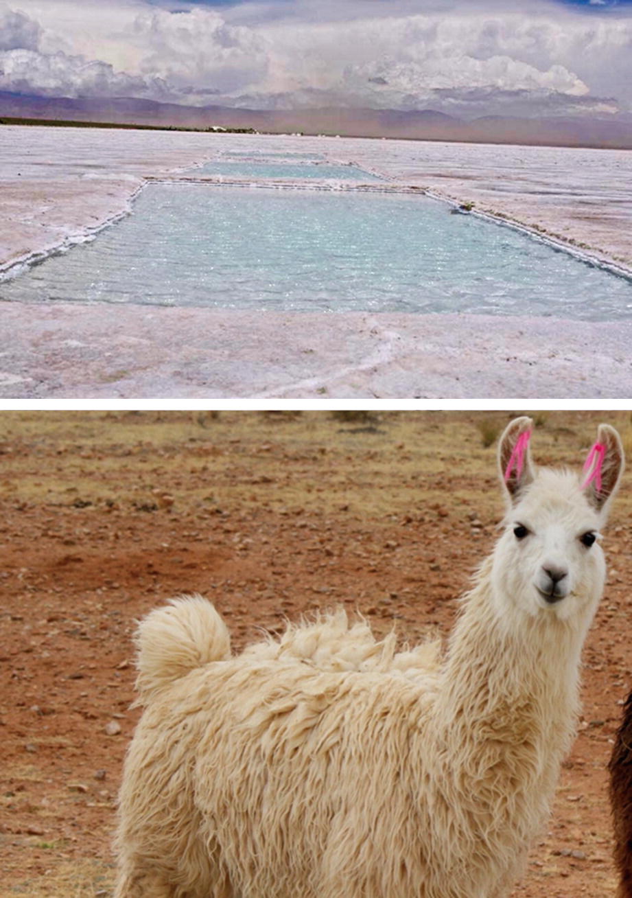 Prêter son Jardin Nouveau Puna A Surrealistic Landscape In the Argentinean Highlands