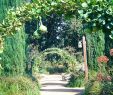 Punaise De Jardin Best Of Caniveau De Douche source D Inspiration 20 Beau S De