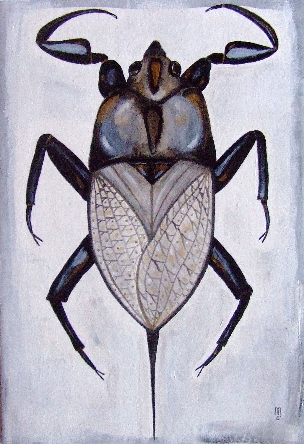 Punaise De Jardin Nouveau Bug Insect Animal Nature original Drawing Acrylic Painting