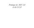 Punaises De Jardin Nouveau Pratique De Net 2 0 Et C 2 0