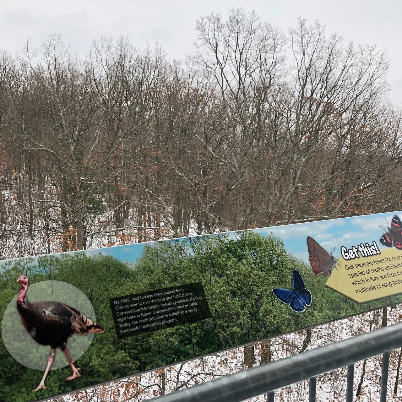 Punaises De Jardin Nouveau Sager Conservation area Quinte West 2020 Ce Qu Il Faut