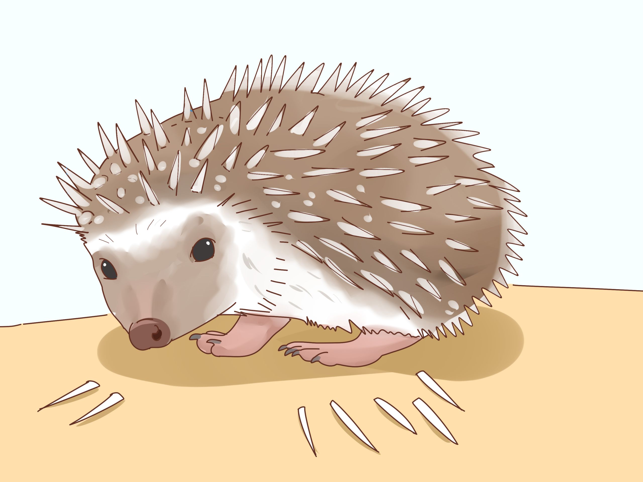 Take Care of a Hedgehog Step 26 Version 3