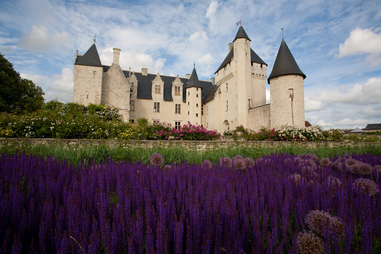 chateau du rivau et lavandes