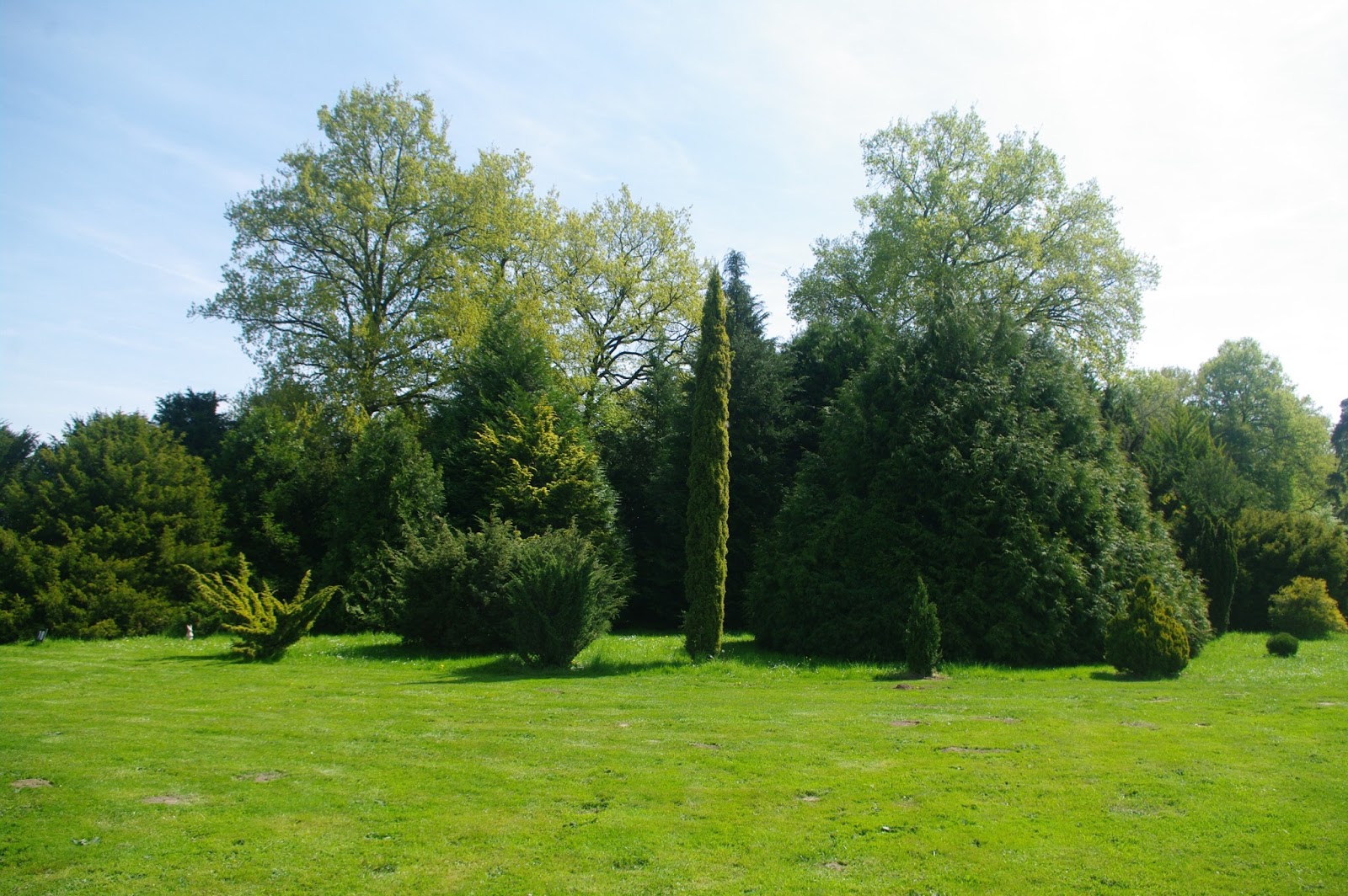 Recherche Jardinier Frais Charmes Méconnus Du Hurepoix A La Decouverte Des Arbres