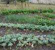 Recherche Jardinier Frais Le Potager Bioinspiré Un Jardin Nourricier En Permaculture