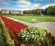 Refaire son Jardin Beau Pourquoi Confier L Entretien De son Jardin   Des