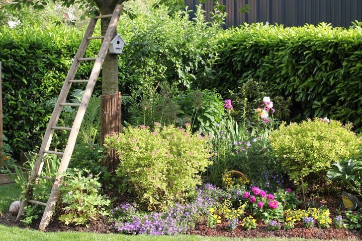 Refaire son Jardin Élégant Aménager son Jardin Bud Et Conseils