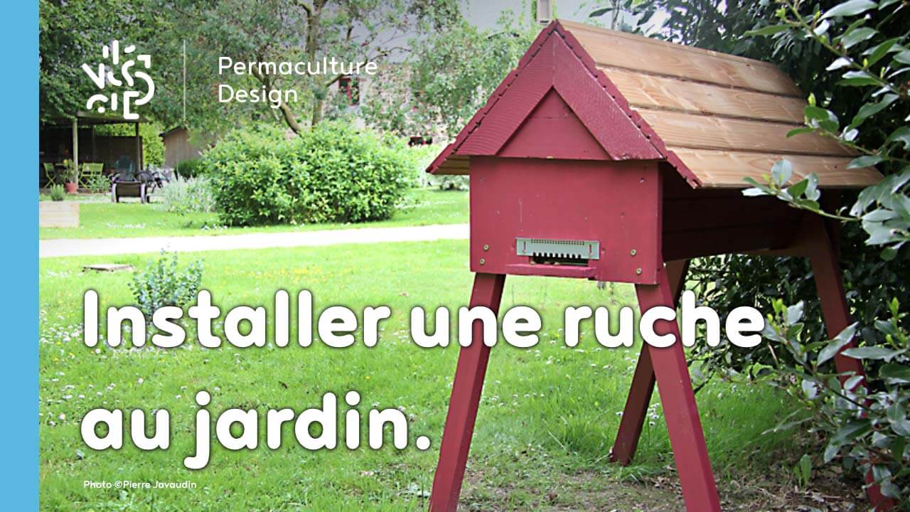 installer ruche jardin Pierre Javaudin formation permaculture design 01