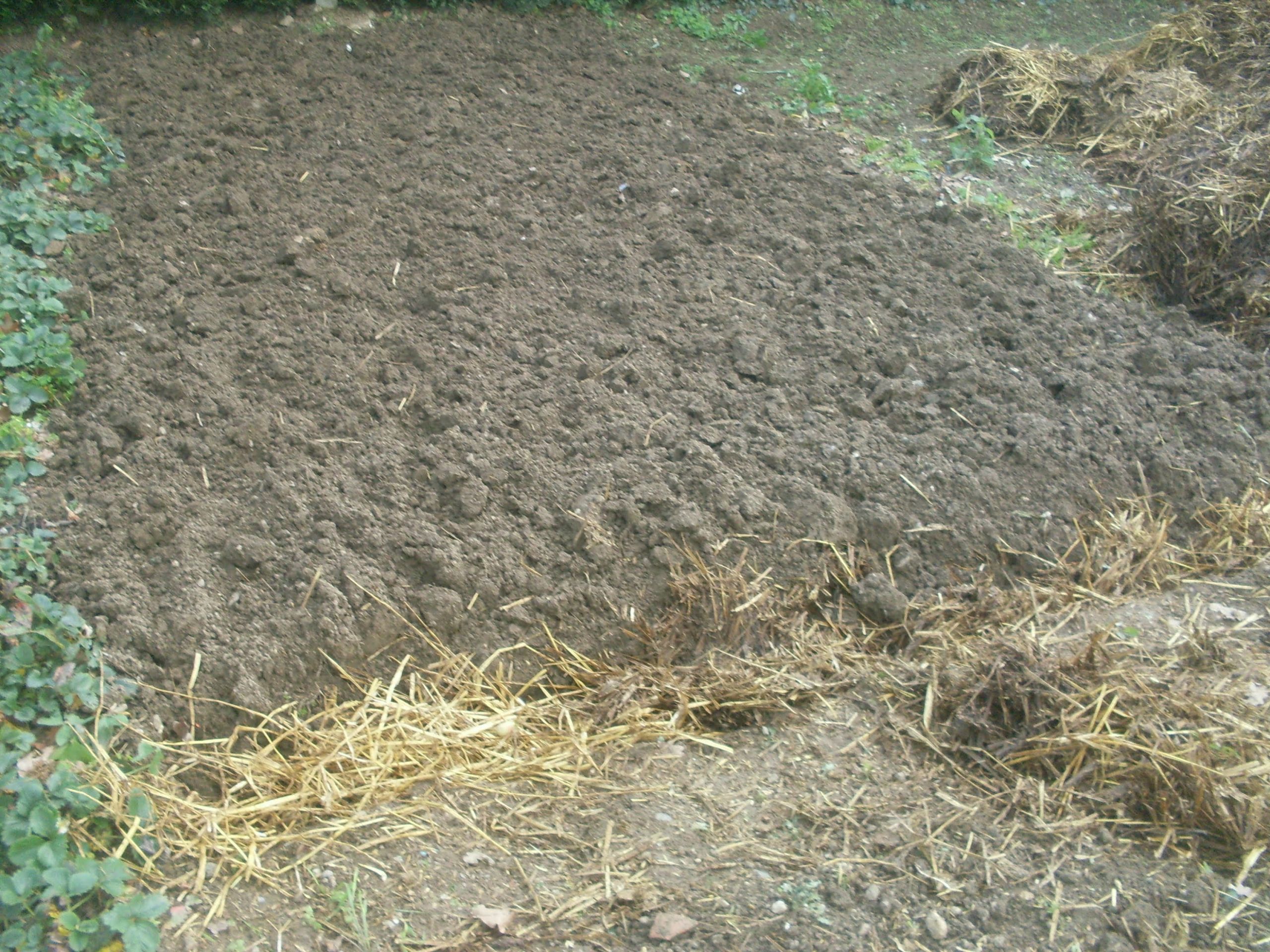 Refaire son Jardin Génial Ment Bªcher son Jardin Préparer Votre Potager