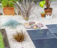 Refaire son Jardin Inspirant Jardin Sur Gravier Réussir L Aménagement D Un Jardin De