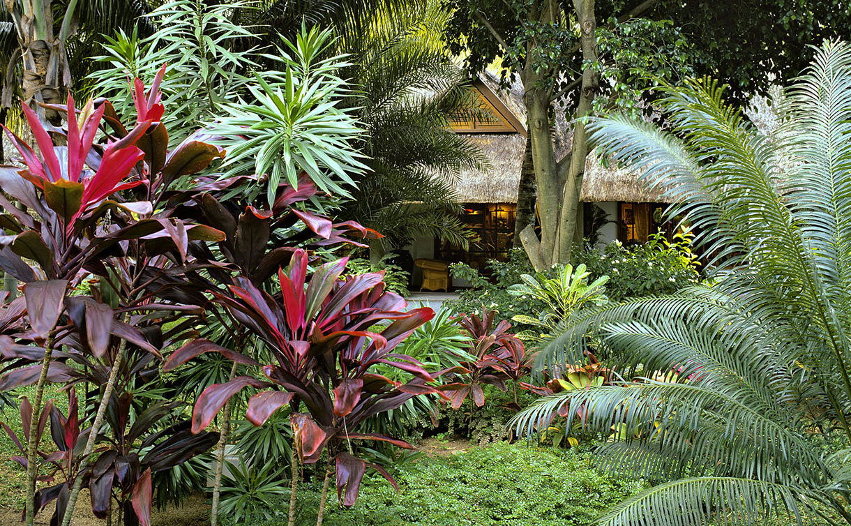 Refaire son Jardin Inspirant Ment Créer Un Jardin Exotique Durable